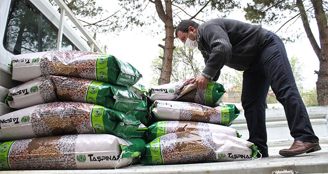 Kuru fasulye tohumu yardımıyla bölgeye 3 buçuk milyon lira katkı sağlanacak