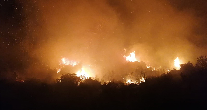 Antalya'da gece başlayan yangında 5 hektarlık ormanlık alan zarar gördü