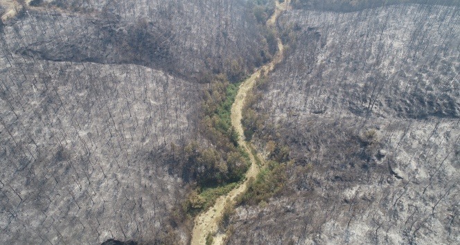 Kozan'daki orman yangını soruşturmasında gözaltı sayısı 4'e yükseldi