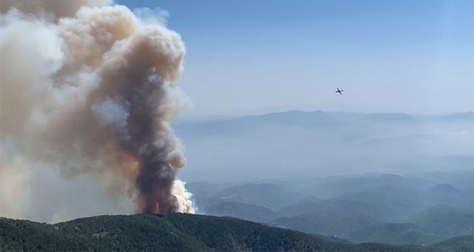 Hatay'daki orman yangını drone ile görüntülendi