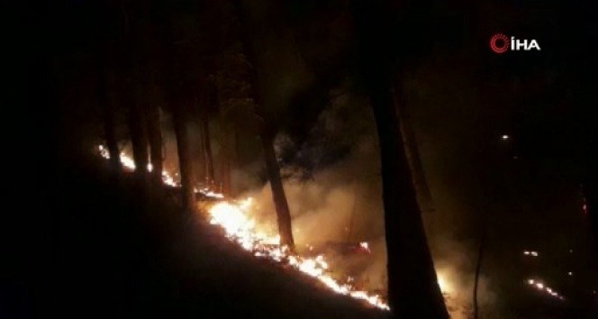 İzmir'deki orman yangını sürüyor