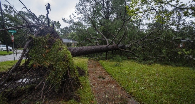 Sally Kasırgası Alabama'yı vurdu
