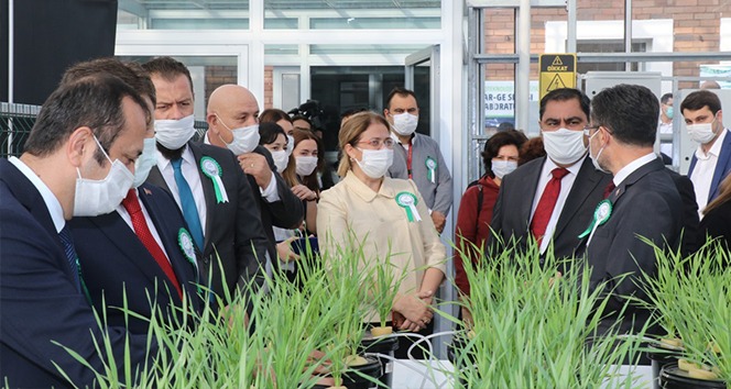 GÜBRETAŞ-GTÜ işbirliğiyle tarımın geleceğine yönelik Ar-Ge serası açıldı