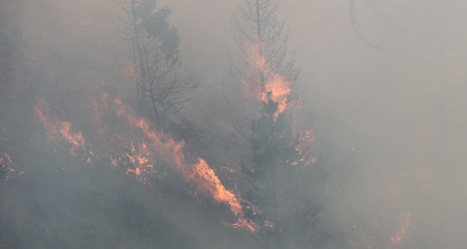 Kastamonu’da iki farklı noktada 3 gündür devam eden orman yangını söndürülemiyor