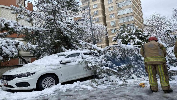 Kadıköy’de yoğun kara dayanamayan ağaç, park halindeki otomobilin üstüne devrildi