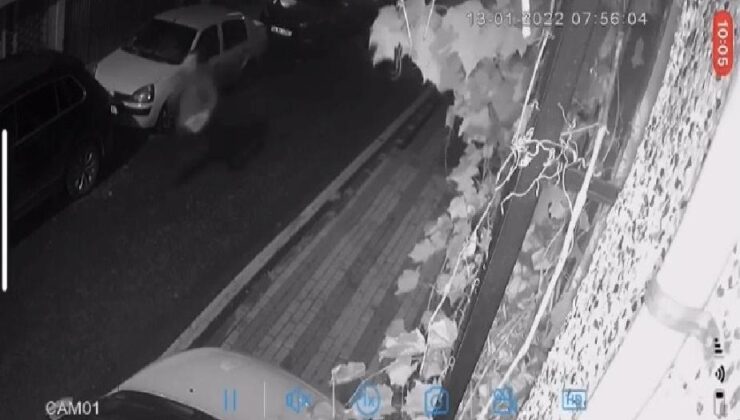 Üsküdar’da silahlı dehşet: Otizmli gencin köpeğini pitbull zannederek silahla vurdu