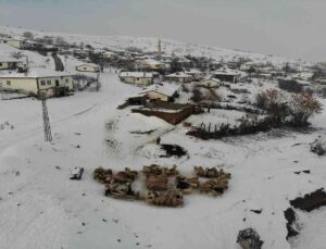Çetin kış aylarında köyde yaşam mücadelesi