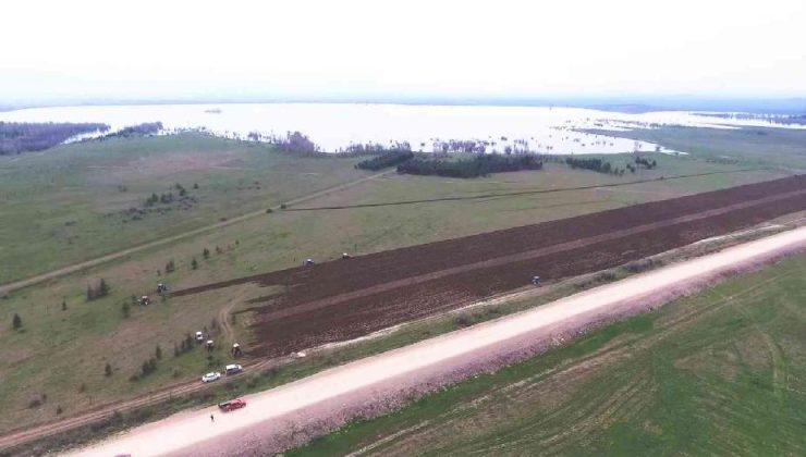 Amasya’da Yedikır Barajı’nın kıyısı tarımsal üretime kazandırılıyor