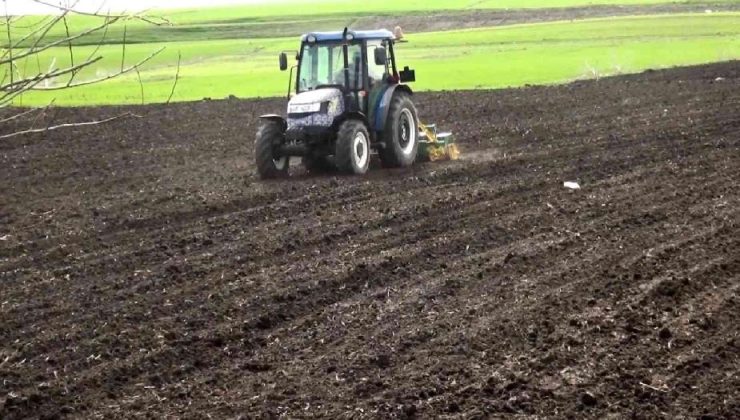 Muş Ovası’nda çiftçiler şeker pancarı ekimi için tarlaya indi