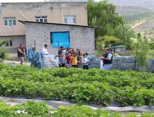 Şırnak’ta faaliyete giren projelerle ailelerin ekonomisine katkı sağlanıyor