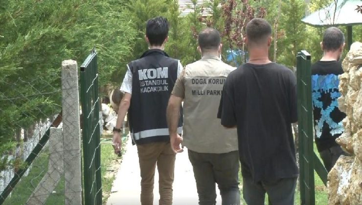 İstanbul merkezli 14 ilde tropik hayvan kaçakçılarına operasyon: 62 gözaltı